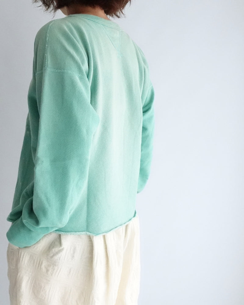 ビンテージウラケダブルガゼットプルオーバー LightGreen