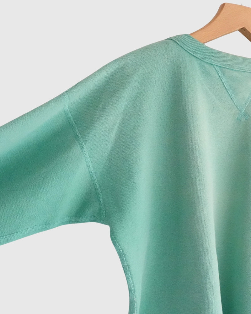 ビンテージウラケダブルガゼットプルオーバー LightGreen
