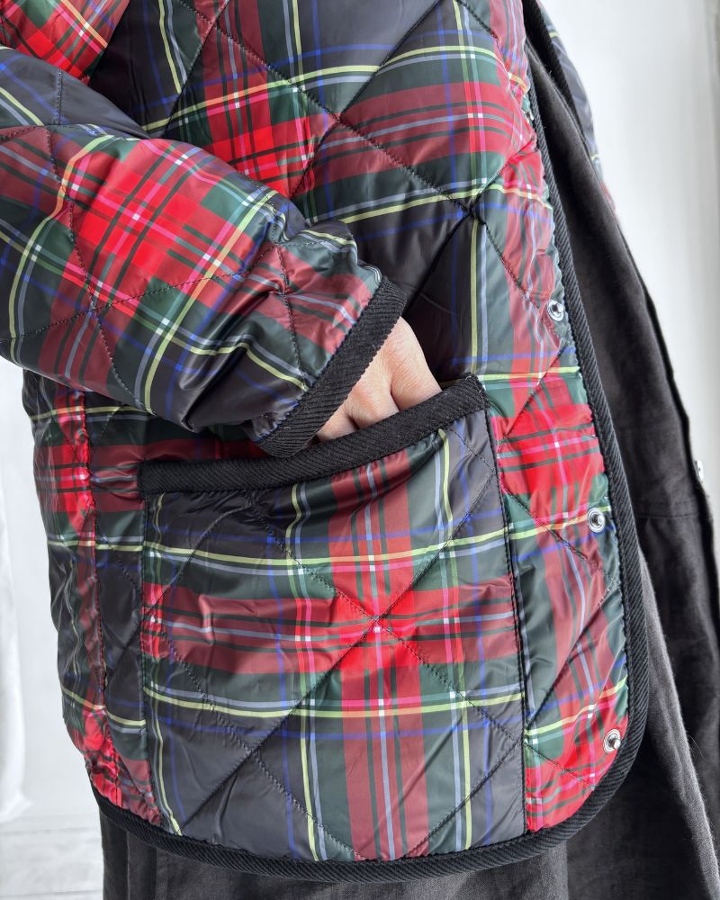 ichi Antiquite's × TAION コラボ ダウンジャケット